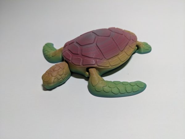 Rainbow Sea Turtle